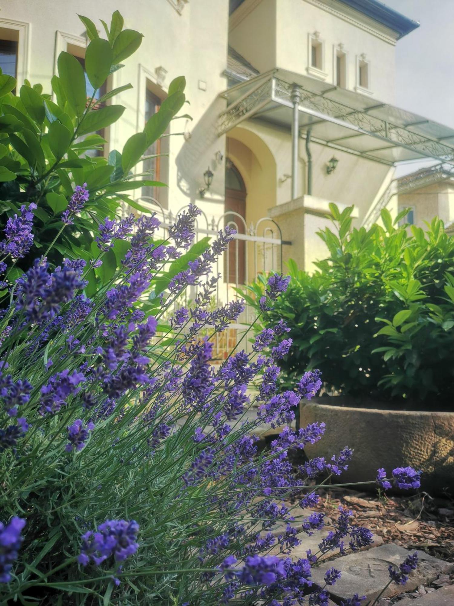 Kuria Apartman Budapest With Free Parking エクステリア 写真