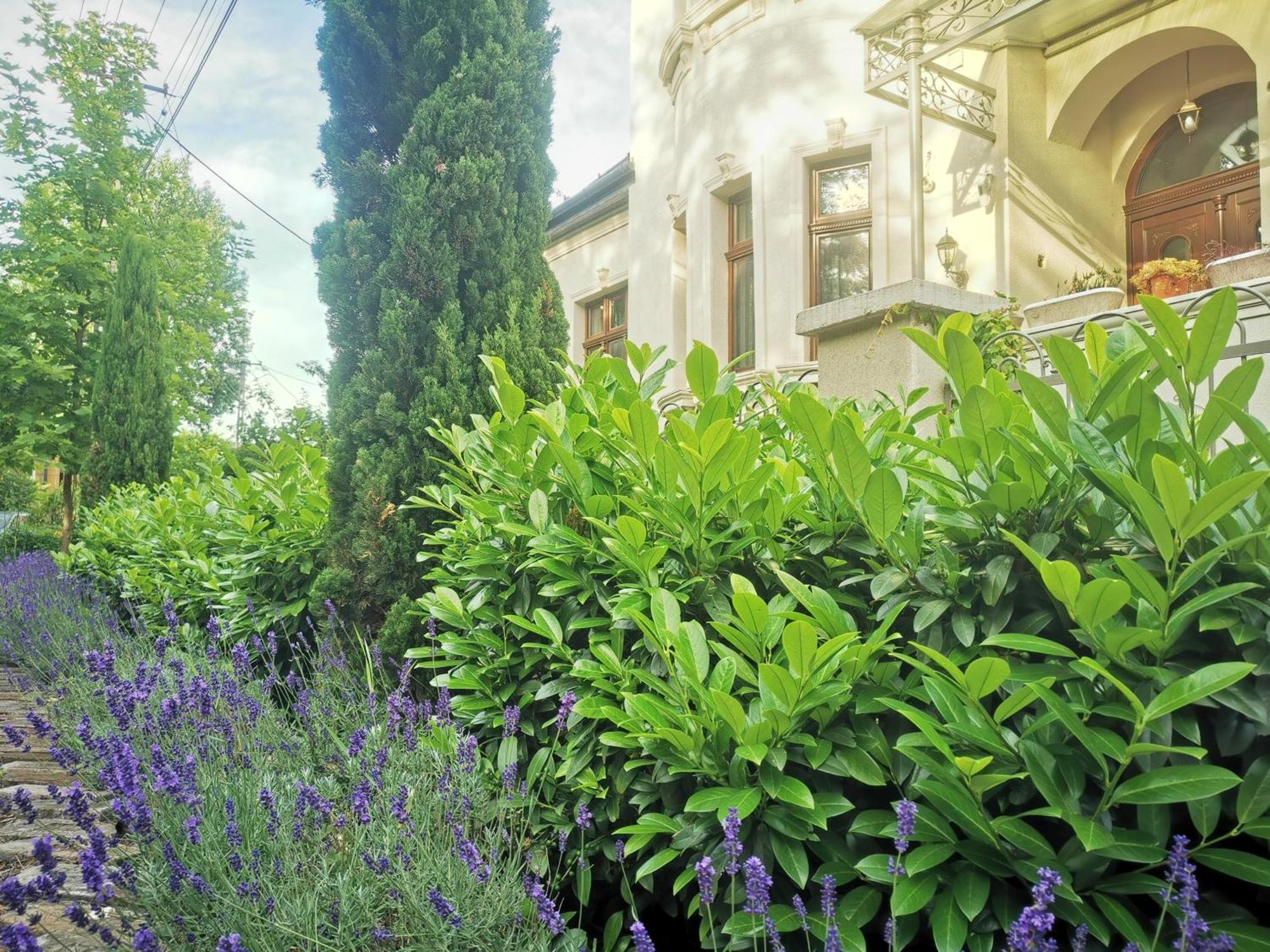 Kuria Apartman Budapest With Free Parking エクステリア 写真